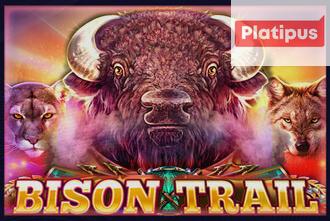 Bison Trail
